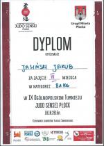 DYPLOM2