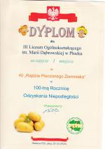 DYP2PIECZONY_ZIEMNIAK1